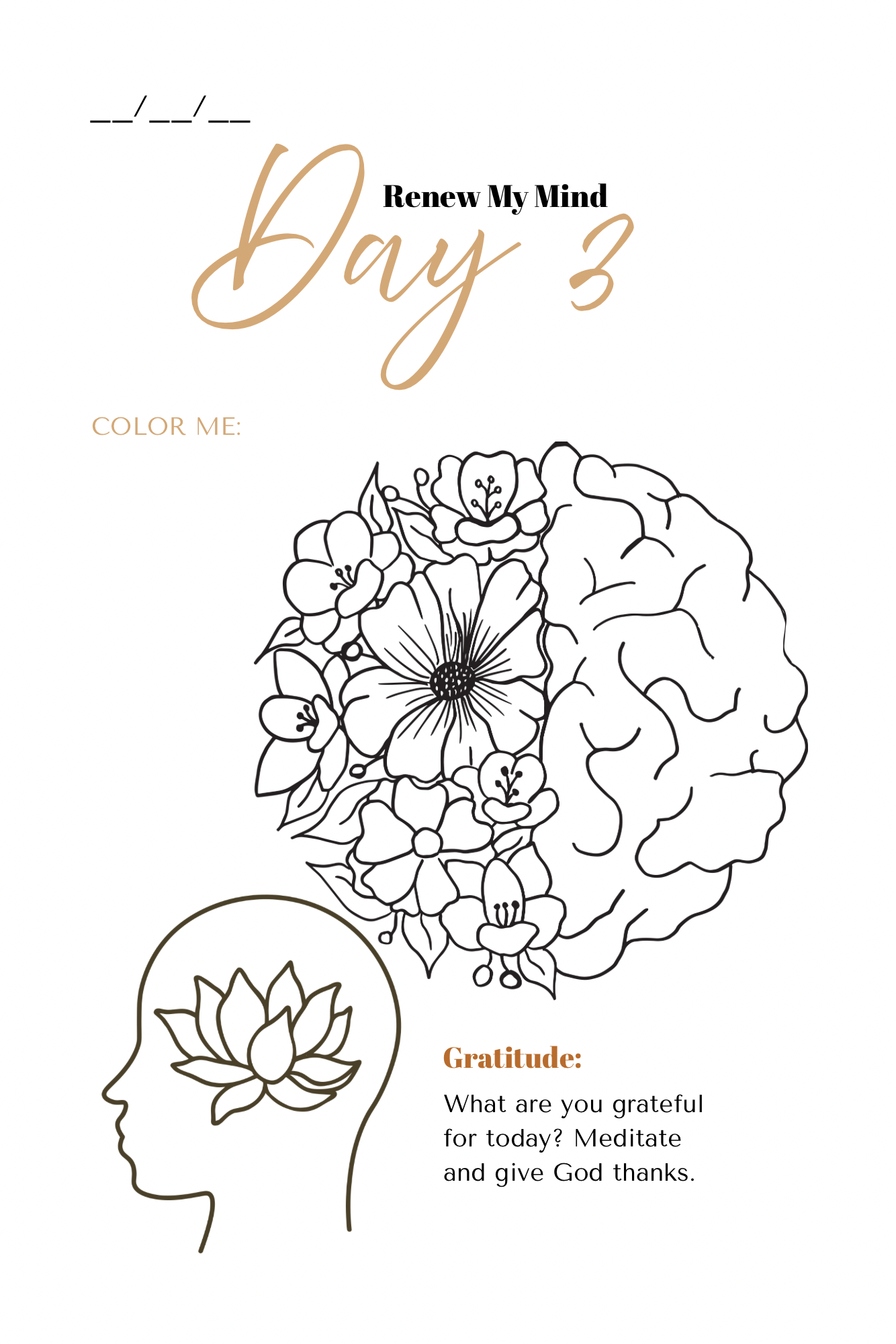 Renew & Restore: A 90 Day Prayer Journal
