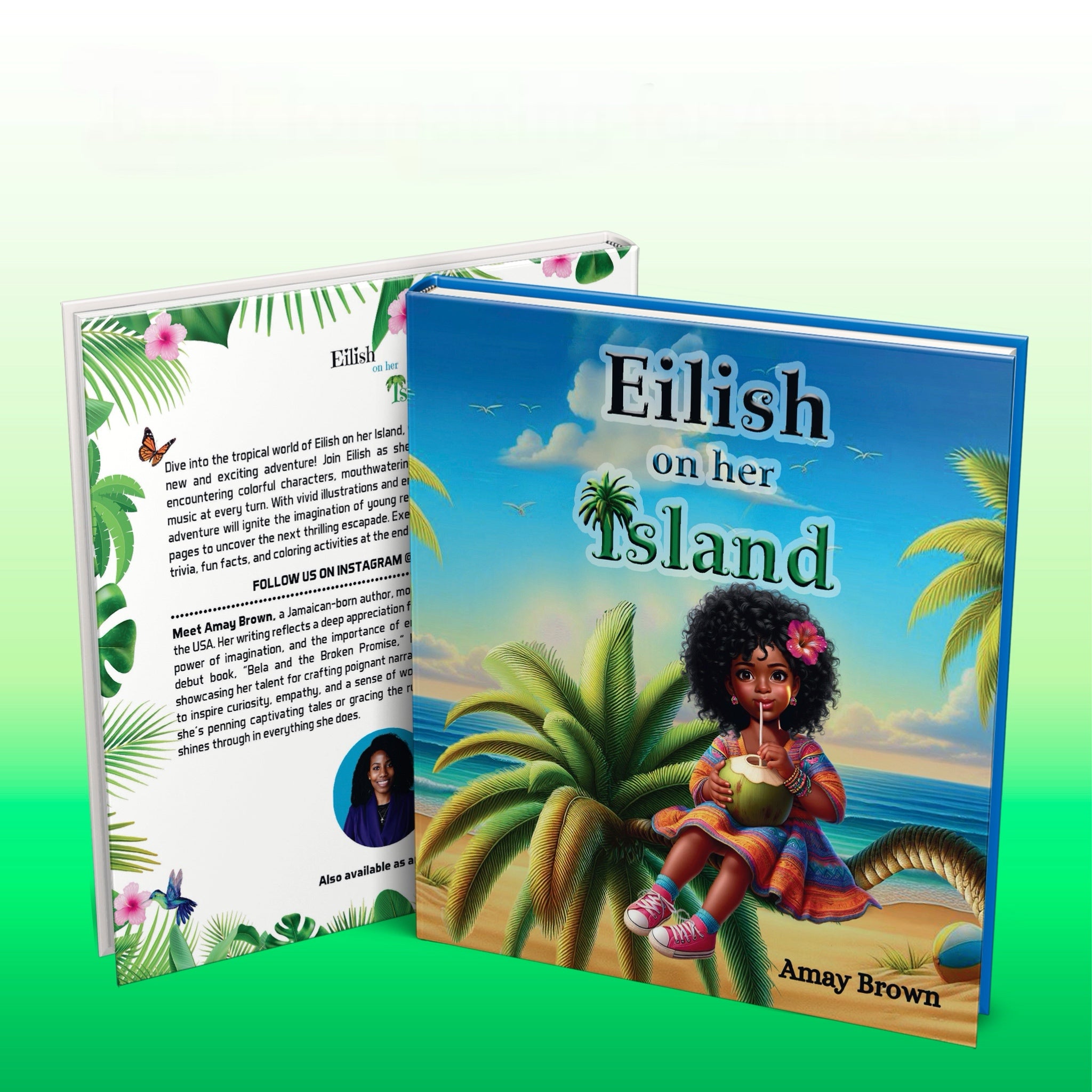 Eilish on her Island (Paperback)
